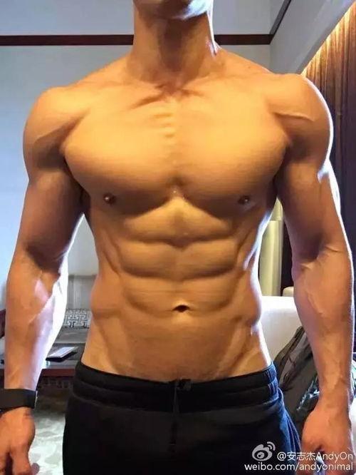 明星肌肉男照片,明星健身照背后的故事与启示